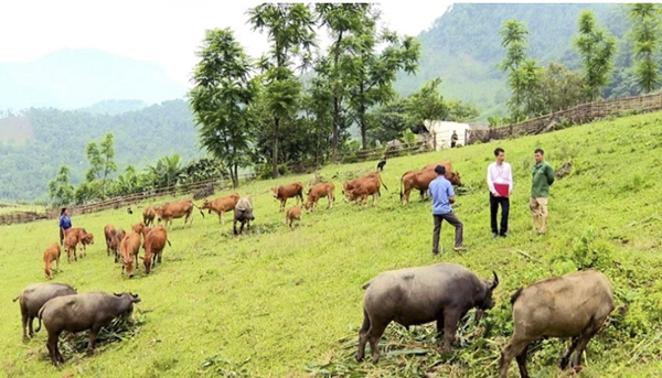 bac kan