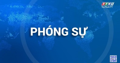 Nguồn vốn ưu đãi giúp thanh niên Tây Ninh phát triển kinh tế (TTV11 - 7.3.2025)