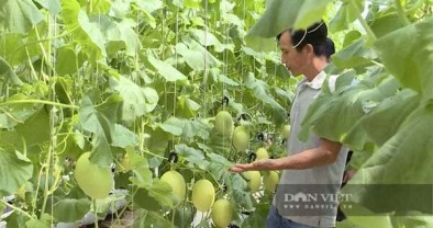 Vốn tín dụng chính sách tạo sinh kế, xây tương lai