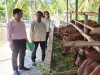 Xứng danh là trụ cột trong giảm nghèo bền vững ở Ninh Thuận