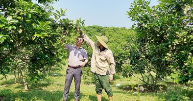 Tuyên Hóa đẩy mạnh hiệu quả vốn vay ưu đãi