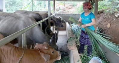 Trạm Tấu nâng cao hiệu quả sử dụng nguồn vốn phát triển giảm nghèo