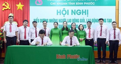 NHCSXH tỉnh Bình Phước biểu dương 68 lao động giỏi, lao động sáng tạo