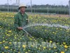 Trên 4.000 hộ thoát nghèo ở Nam Định nhờ sử dụng hiệu quả nguồn vốn chính sách