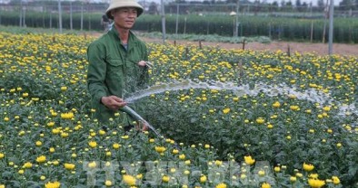 Trên 4.000 hộ thoát nghèo ở Nam Định nhờ sử dụng hiệu quả nguồn vốn chính sách
