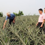 Tín dụng chính sách là điểm tựa cho nhiều mô hình kinh tế tiềm năng ở Hà Tĩnh