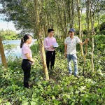 Anh Trần Hữu Tình (ngoài cùng, bên phải) phát triển mô hình trồng rừng từ nguồn vốn vay ưu đãi của NHCSXH