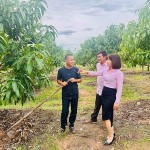 Mô hình phát triển kinh tế của anh Đặng Văn Thương ở thôn 4 thị trấn Ea Súp