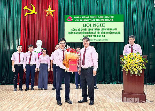 21347eccb850c52dc8792d9139507c88