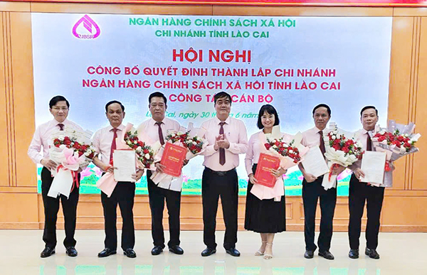 62ed0b76ca377c692526