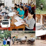 Hoạt động tín dụng chính sách trên địa bàn tỉnh Nghệ An vẫn thông suốt, hiệu quả, đáp ứng nhu cầu của người dân