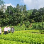 Việc duy trì mạng lưới giao dịch cũ, giúp người dân nghèo, đối tượng chính sách, nhất là ở vùng sâu, vùng xa có điều kiện tiếp cận với nguồn vốn ưu đãi