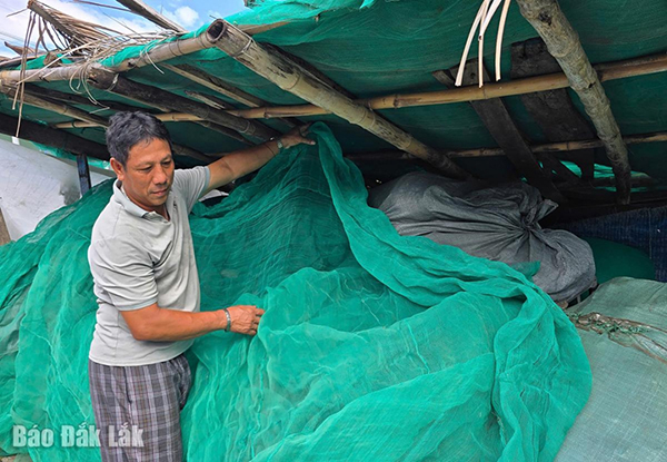 luu-ban-nhap-tu-dong-16266-1