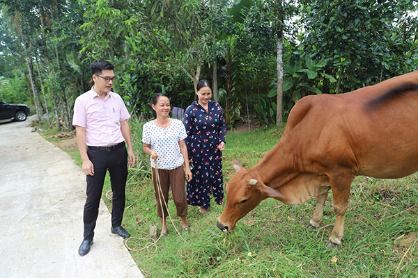 1834925d5b8ad3d48a9b