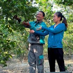 Vốn tín dụng chính sách giải góp phần quyêt việc làm cho hàng nghìn lao động nông thôn trên địa bàn thành phố