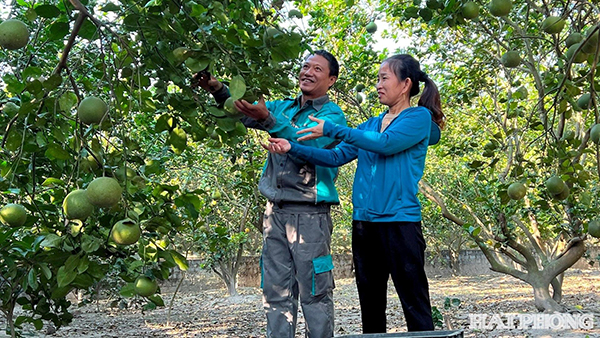 8b9a8c1dbfcb6508b8bb50acf2148dbbtin-dung-chinh-sach-giup-nong-dan