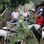 Cán bộ Phòng giao dịch NHCSXH Quỳnh Lưu thường xuyên bám sát cơ sở, tận tình hướng dẫn nhân dân sử dụng vốn vay hiệu quả trong sản xuất, nâng cao đời sống