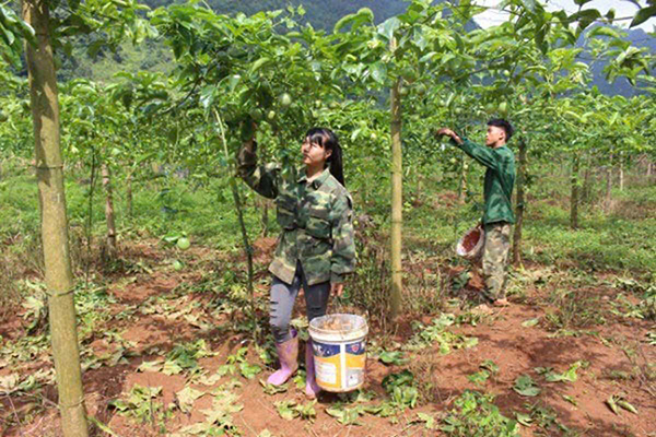 cao-bang-13-1755399292899-17553992930801506163843