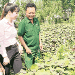 Hội Cựu chiến binh xã Cần Giuộc và cán bộ NHCSXH tham quan mô hình trồng rau của ông Nguyễn Tấn Măng
