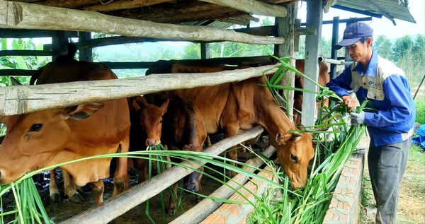 Đảm bảo thông suốt nguồn vốn tín dụng chính sách 3 (1)