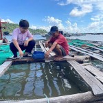 Cán bộ NHCSXH luôn tận tình giúp giúp dân sử dụng vốn đúng mục đích, đạt hiệu quả kinh tế