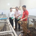 Mô hình nuôi chồn hương từ vốn chính sách giúp anh Nguyễn Trung Hênh ở xã Bà Nà có nguồn thu nhập trung bình 300 triệu đồng/năm