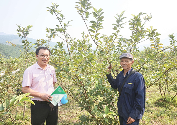 nhcshx-da-nang-1-2004