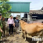 Anh Nguyễn Văn Thường (thứ 4 từ trái sang) được vay vốn theo Quyết định số 22/2023/QĐ-TTg phát triển chăn nuôi hiệu quả