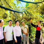 Tín dụng chính sách xã hội triển khai trên địa bàn tỉnh Đắk Lắk đã thực sự phát huy hiệu quả, mang lại cuộc sống ấm no cho hàng ngàn người yếu thế