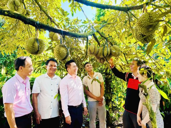 Tín dụng chính sách xã hội triển khai trên địa bàn tỉnh Đắk Lắk đã thực sự phát huy hiệu quả, mang lại cuộc sống ấm no cho hàng ngàn người yếu thế