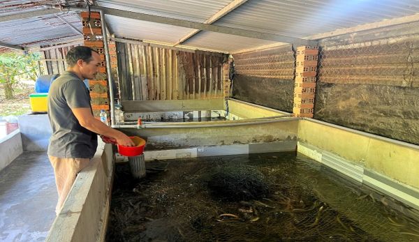 Anh Ngô Viết Hùng chăm sóc bể nuôi lươn giống được xây từ nguồn vốn vay của Phòng giao dịch NHCSXH Chơn Thành