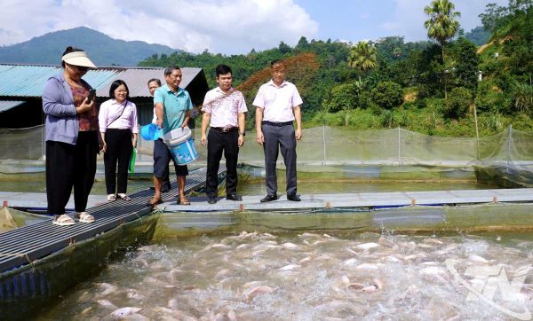 Các cán bộ NHCSXH luôn đồng hành giúp dân vay vốn và sử dụng vốn vay đúng mục đích, đạt hiệu quả
