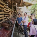 Giám đốc chi nhánh NHCSXH tỉnh Thái Nguyên Phạm Tuấn Hưng (thứ hai từ trái qua) kiểm tra hoạt động sử dụng vốn vay tại các địa phương