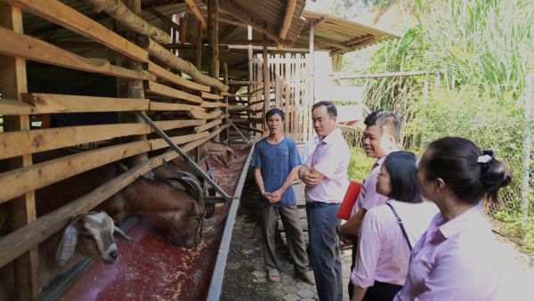Giám đốc chi nhánh NHCSXH tỉnh Thái Nguyên Phạm Tuấn Hưng (thứ hai từ trái qua) kiểm tra hoạt động sử dụng vốn vay tại các địa phương