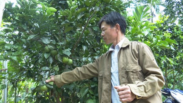 Nhiều hộ dân trên địa bàn xã Lãnh Ngọc mạnh dạn đầu tư phát triển kinh tế, ổn định cuộc sống nhờ có nguồn vốn chính sách “bơm” kịp thời.