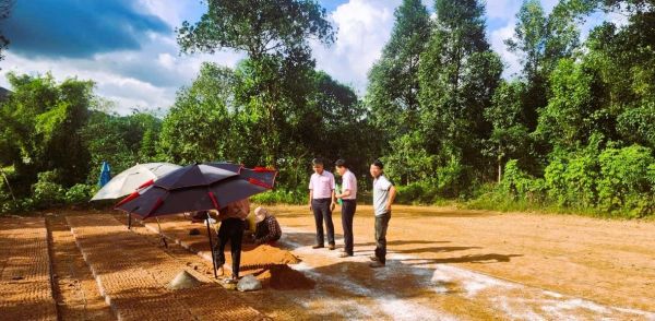 Tín dụng chính sách “đòn bẩy” để nâng cao đời sống người dân và phát triển nông thôn bền vững ở Quảng Ngãi