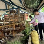 Tín dụng chính sách đã hỗ trợ toàn diện đời sống xã hội nông thôn, góp phần nâng cao thu nhập, tạo việc làm cho bà con Quảng Ngãi