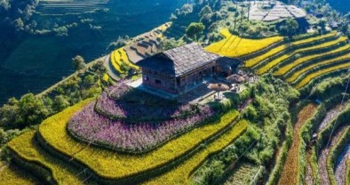 Mù Cang Chải thực hiện hiệu quả tín dụng chính sách