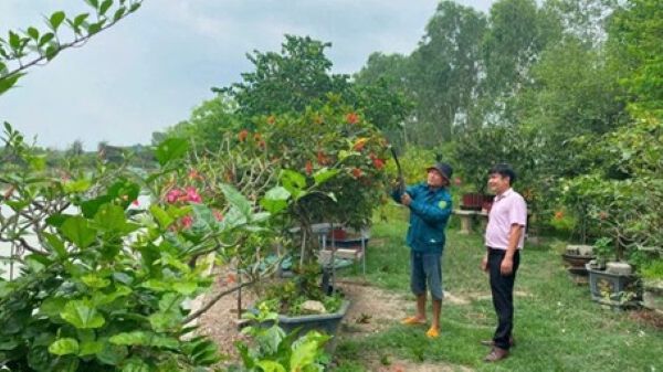 Nhờ vốn chính sách, nhiều hộ gia đình ở vùng đất Diễn Châu chủ động phát triển sản xuất kinh doanh, cải thiện cuộc sống