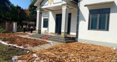 Vốn chính sách - bệ đỡ để bà con vượt qua khó khăn sau lũ