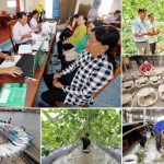 Tín dụng chính sách xã hội của Chính phủ do NHCSXH thực hiện giúp người dân sản xuất kinh doanh hiệu quả