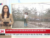 Giúp nông dân tiếp cận vốn vay để tái sản xuất sau thiên tai (VTV1 - 03.11.2025)