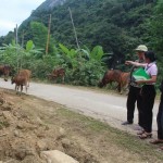 Cán bộ Phòng giao dịch NHCSXH Mường Lát luôn tận tâm, sâu sát với dân bản để dòng vốn phát huy hiệu quả