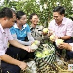 Chi nhánh NHCSXH tỉnh Nghệ An đang quản lý, triển khai thực hiện 22 chương trình tín dụng ưu đãi, doanh số cho vay giai đoạn 2021 - 2025 đạt 17.720 tỷ đồng