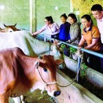 Nguồn vốn ưu đãi đã và đang tiếp sức đồng bào miền núi Quảng Trị vươn lên thoát nghèo