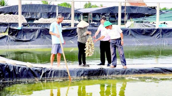 Cán bộ chi nhánh NHCSXH tỉnh Ninh Bình tận tình, tận tâm hướng dẫn người nghèo sử dụng vốn vay đúng mục đích, đạt hiệu quả trong sản xuất kinh doanh Cán bộ chi nhánh NHCSXH tỉnh Ninh Bình tận tình, tận tâm hướng dẫn người nghèo sử dụng vốn vay đúng mục đích, đạt hiệu quả trong sản xuất kinh doanh