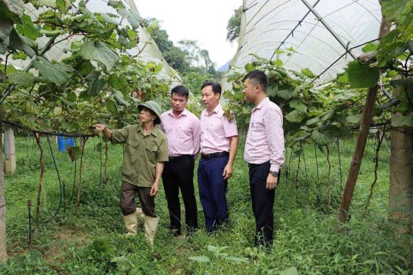 Cán bộ chi nhánh NHCSXH tỉnh Cao Bằng thường xuyên về cơ sở, tận tình hướng dẫn đồng bào dân tộc sử dụng vốn ưu đãi trong đầu tư sản xuất hiệu quả. Cán bộ chi nhánh NHCSXH tỉnh Cao Bằng thường xuyên về cơ sở, tận tình hướng dẫn đồng bào dân tộc sử dụng vốn ưu đãi trong đầu tư sản xuất hiệu quả.