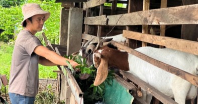 Xã Ea M’Droh tạo sinh kế bền vững từ Chương trình 1719