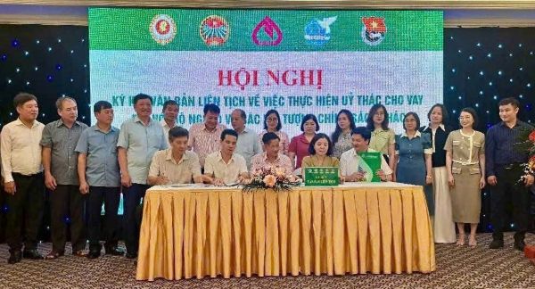 Hội nghị ký kết hợp đồng ủy thác cho vay vốn chính sách giữa chi nhánh NHCSXH tỉnh Ninh Bình và các tổ chức chính trị - xã hội Hội nghị ký kết hợp đồng ủy thác cho vay vốn chính sách giữa chi nhánh NHCSXH tỉnh Ninh Bình và các tổ chức chính trị - xã hội