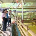 Cán bộ NHCSXH Tân Sơn tận tâm phục vụ nhân dân vay vốn, sử dụng vốn hiệu quả